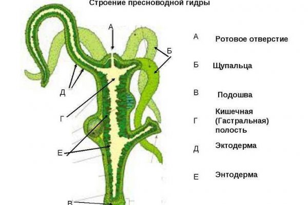 Кракен даркнет маркетплейс