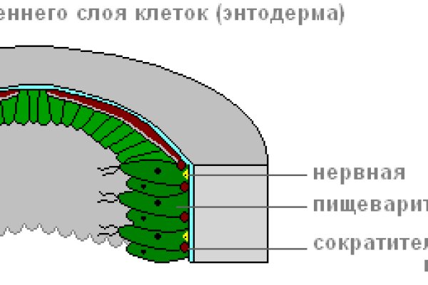 Гидра кракен